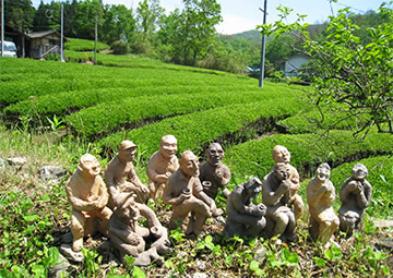 写真：茶畑の前の人々